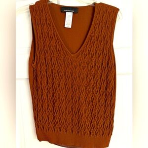 Brown sweater vest